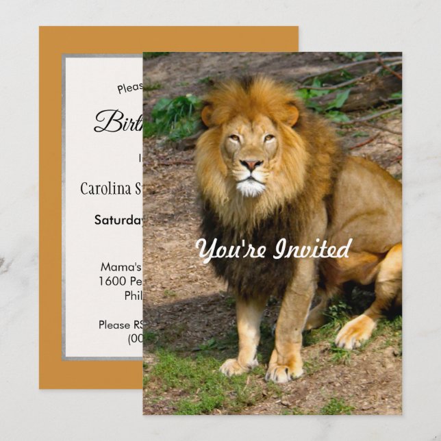 Invitation Faune Afrique Lion assis photo Anniversaire (Devant / Derrière)