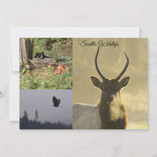 Invitation Faune de Seattle