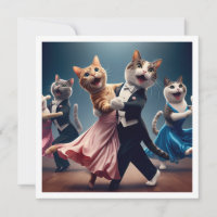 Fête costumée, Fête de danse de salle de bal, chat