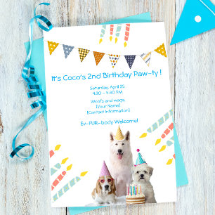Invitation Fête d'anniversaire de chien pour garçon Puppy Inv