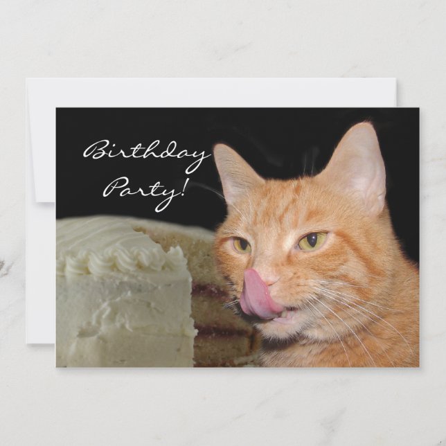 Invitation Fête d'anniversaire du chat (Devant)