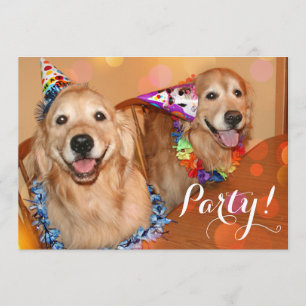 Invitation Fête d'anniversaire heureuse de chiens de golden