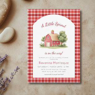 Invitation Fête de Bébé Gingham Rouge Grange Petite Pousse