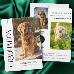 Invitation Fête de chien Inviter Photos d'animaux de compagni