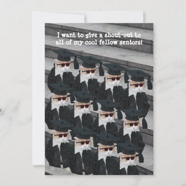 Invitation Fête de finalisation de chats amusants (Devant)