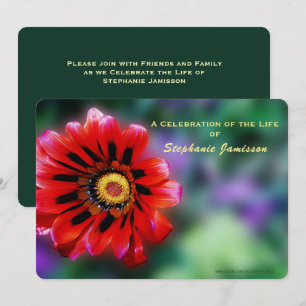 Invitation Fête de la vie, Fleur rouge vif Gazania