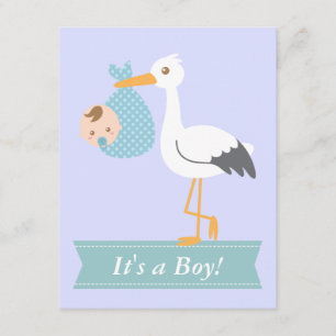 Invitation Fête de naissance de bébé garçon - La cigogne livr
