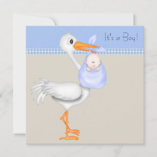 Invitation Fête de naissance de bébé garçon Stork Gingham Bei