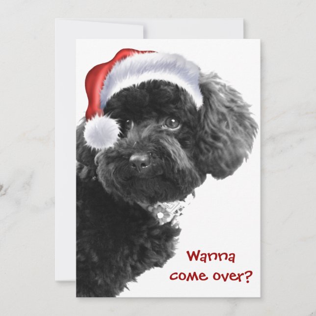 Invitation Fête de Noël du chien de la petite Père Noël Invit (Devant)