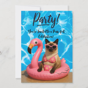 Invitation Fête de piscine pour chats 