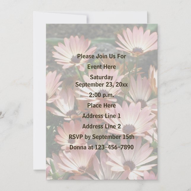 Invitation Fête des Fleurs de marguerite rose (Devant)