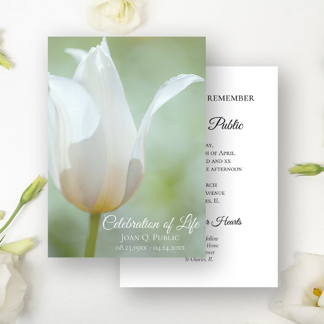 Invitation Fête des funérailles du printemps de la Tulipe bla (Créateur téléchargé)