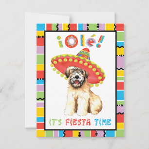 Invitation Fiesta Wheaten