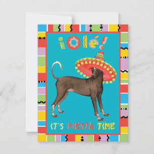 Invitation Fiesta Xolo