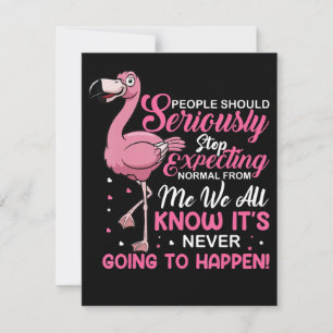 Invitation Flamingos   People Should Stop Expecting Normal