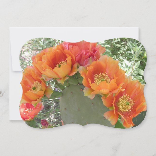 Invitation Fleur de cactus (Devant)