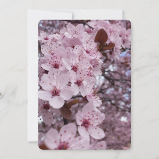 Invitation Fleur de Cerisier Rose – Arbre Sakura