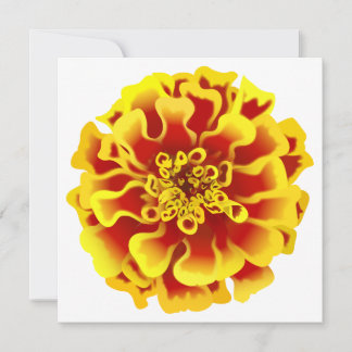 Invitation Fleur de Tagète