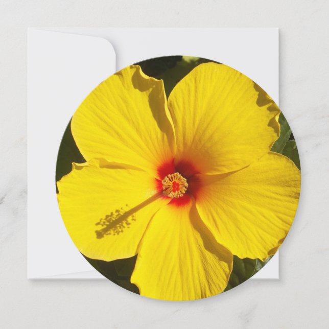 Invitation Fleur d'Hibiscus jaune (Devant)
