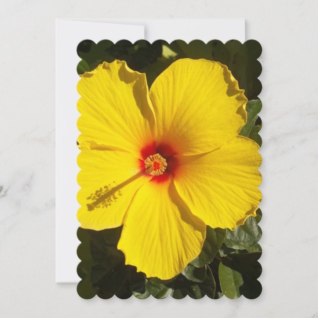Invitation Fleur d'Hibiscus jaune (Devant)