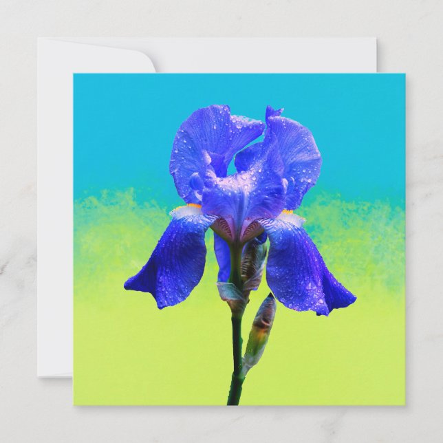 Invitation Fleur d'iris  (Devant)