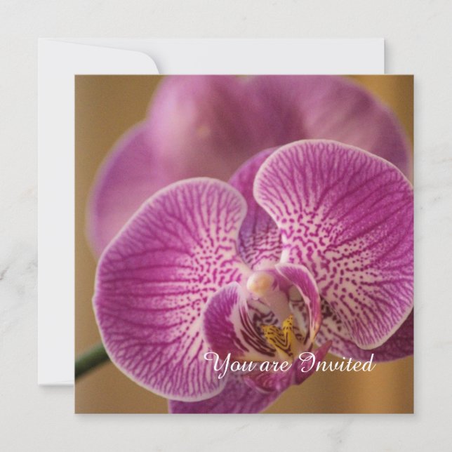Invitation Fleur d'orchidée rose Anniversaire (Devant)
