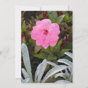 Invitation Fleur Humide, personnaliser