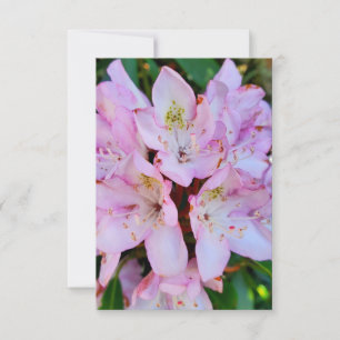 Invitation Fleur Rhododendron rose