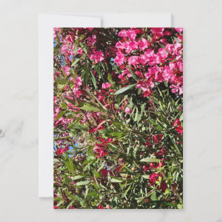 Invitation Fleur rose