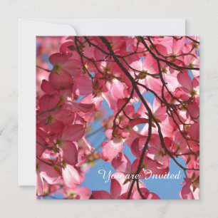 Invitation Fleurs de Dogwood Rose Anniversaire