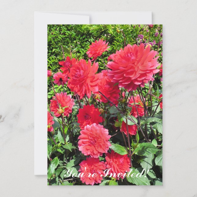 INVITATION FLEURS DU JARDIN DE PAYS (Devant)