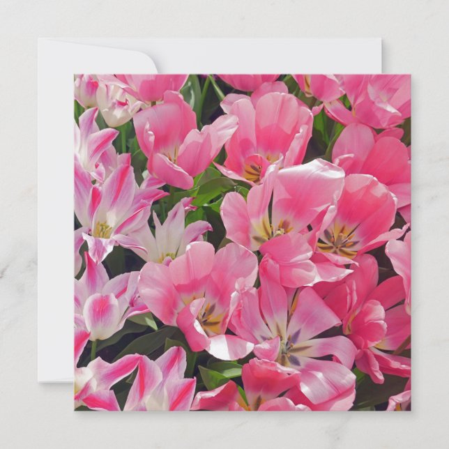 Invitation Flower Power Saut de fleurs 17 (Devant)