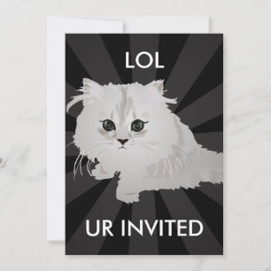 Invitation Fluffy Kitten