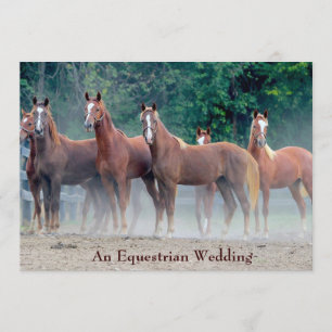 Invitation Formellement un amour équestre pour le cheval Fair