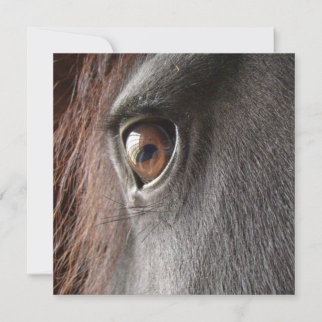 Invitation frisonne d'oeil de cheval (Devant)