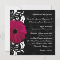Fuchsia Scroll Gerbera Daisy avec noir et blanc