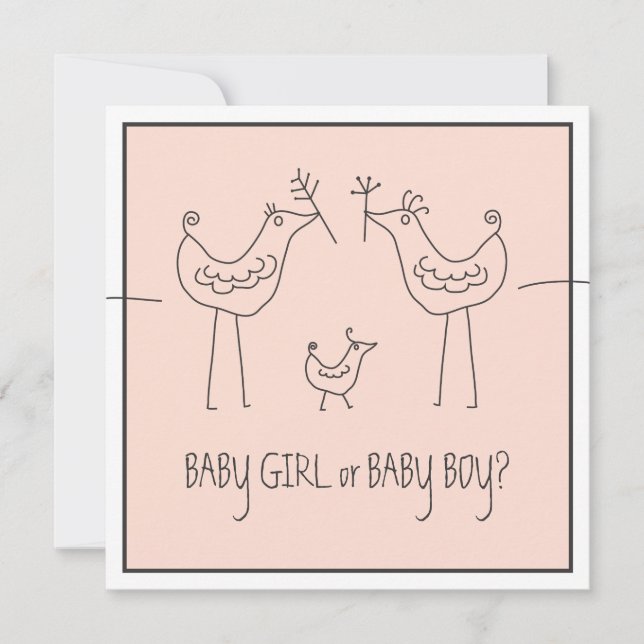Invitation Funky Bird Couple Baby Gender Reveveval Party (Devant)