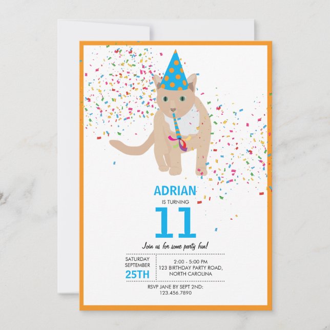 Invitation Funny Chat Thème Anniversaire (Devant)