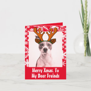 Invitation Funny Deer diadem animal de compagnie photo flocon