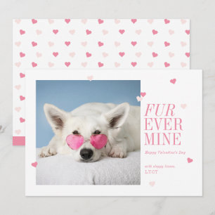 Invitation Fur Jamais Mine Animaux de compagnie Valentines Ca