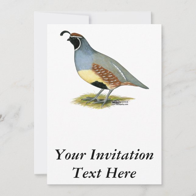 Invitation Gambel's Desert Quail (Devant)