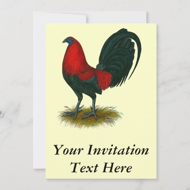Invitation Gamecock américain : Rouge Brown (Devant)