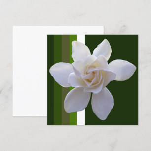 Invitation - Gardenia on Stripes
