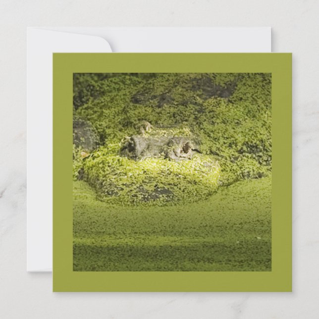 Invitation Gator Lurking in Duckweed Nature Photographie (Devant)