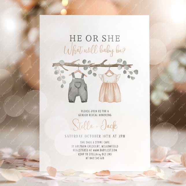 Invitation Gender Reveal He or She Clothesline  (He or She, What will baby be? Gender Reveal Invitation)