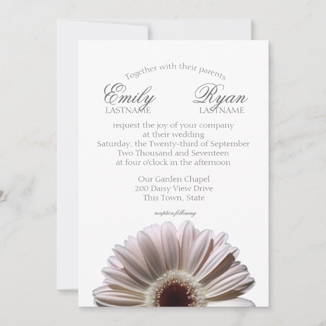 Invitation Gerbera Daisy White Blush (Devant)