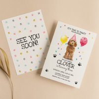Goldendoodle Pawty Chien Chien Chiot Chiot Anniver
