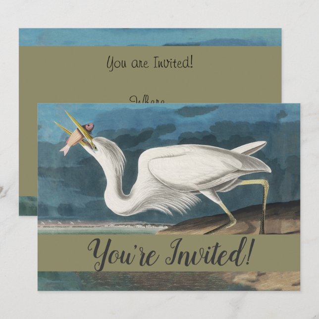 Invitation Grande Peinture de la faune d'Audubon Heron blanc (Devant / Derrière)