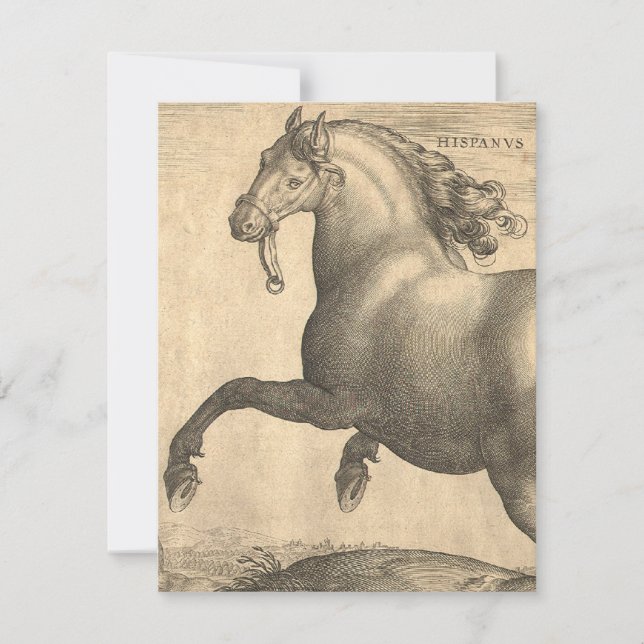 Invitation Gravure antique élégante de cheval espagnol (Devant)