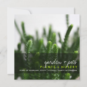 Invitation Green Succulents Grass Plante photo Parti moderne